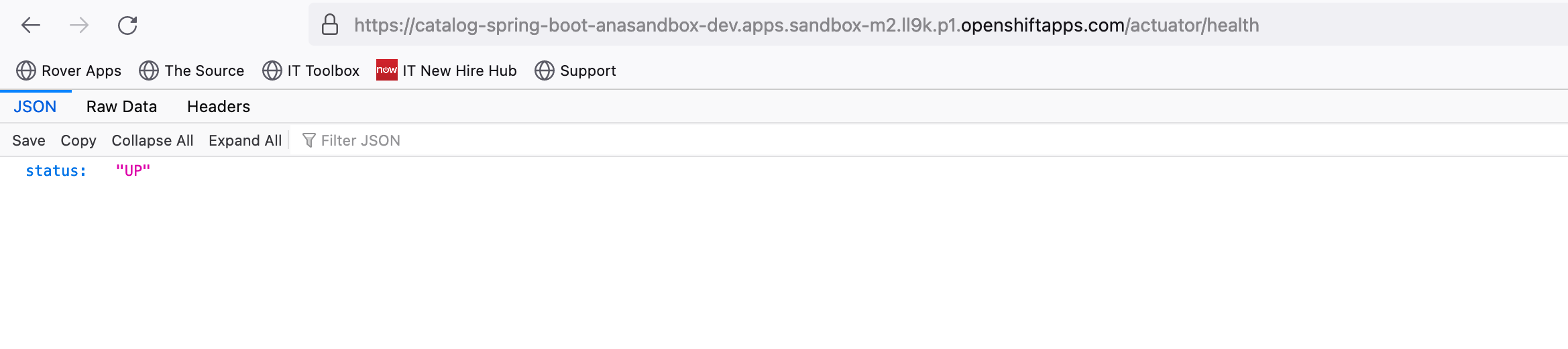 Monitor Application Health Cloud Native Apps