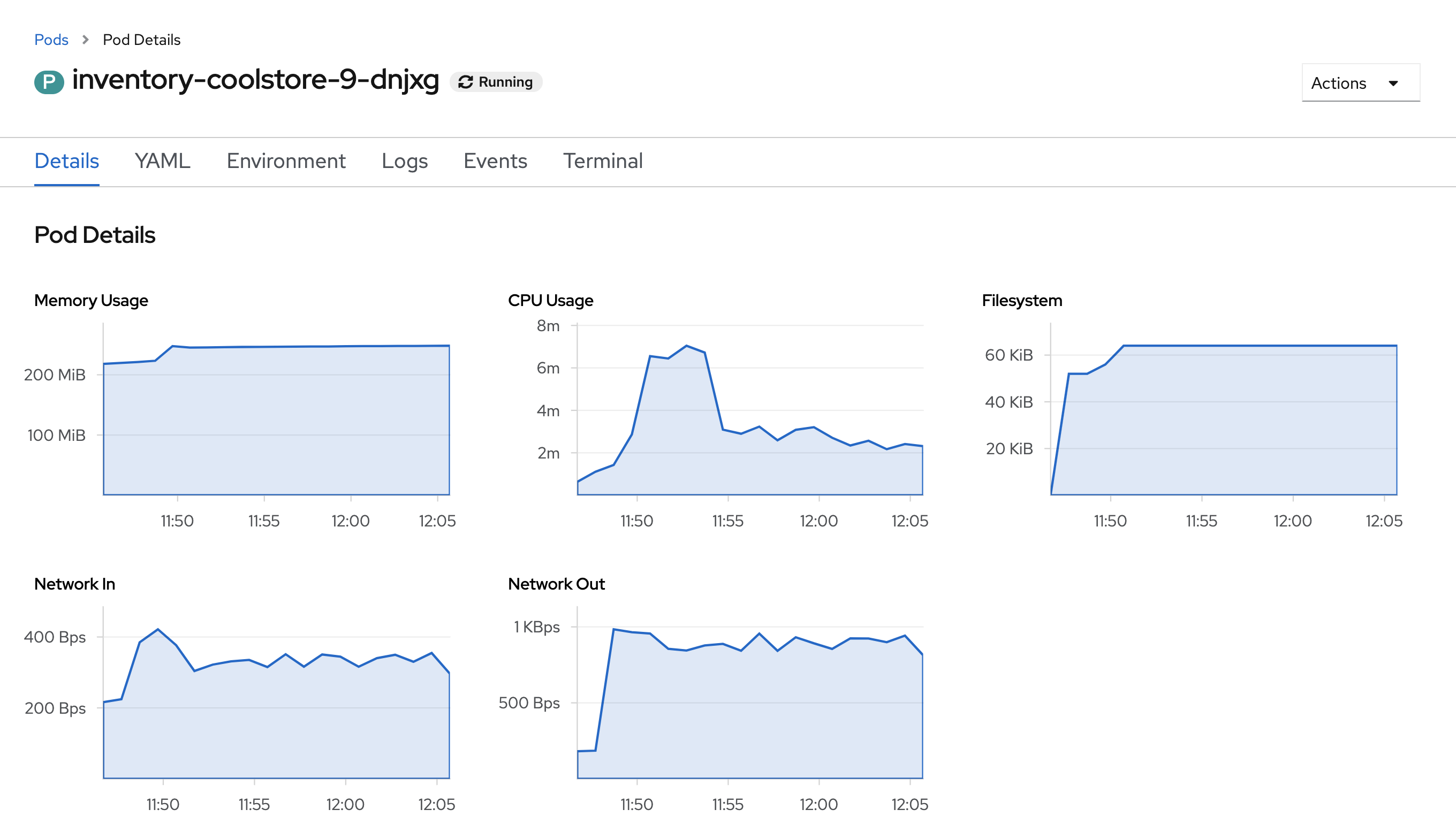 OpenShift Pod Details