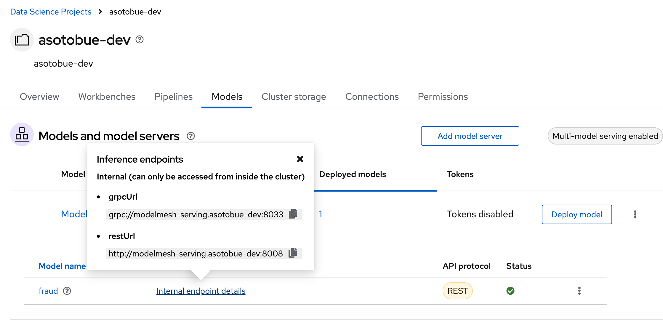 URLs to Access the Model