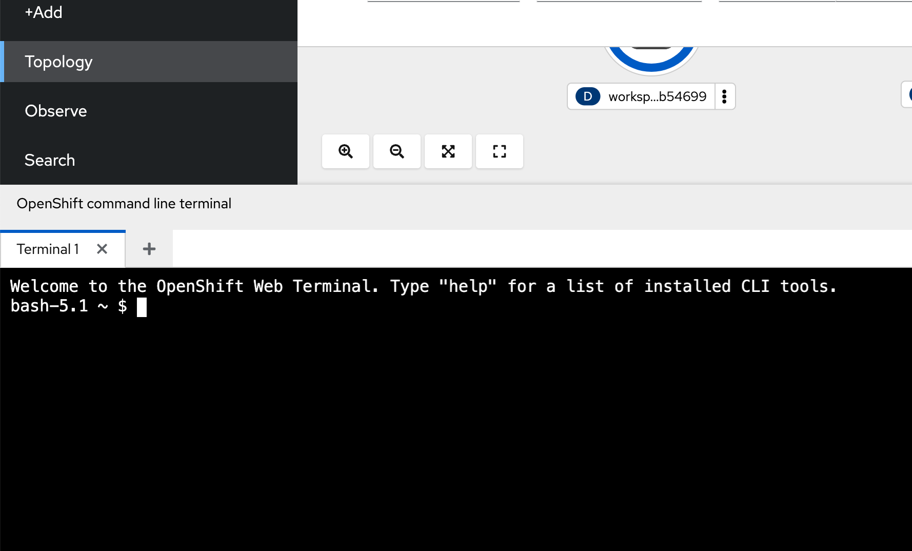 Web Terminal