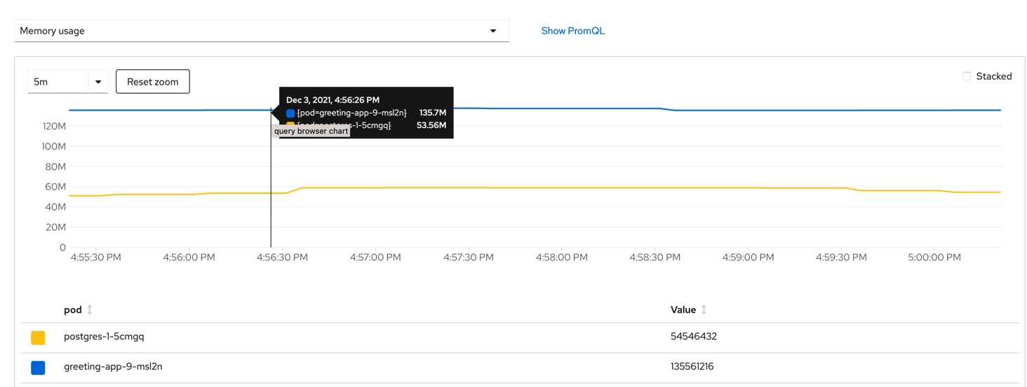 Memory Usage