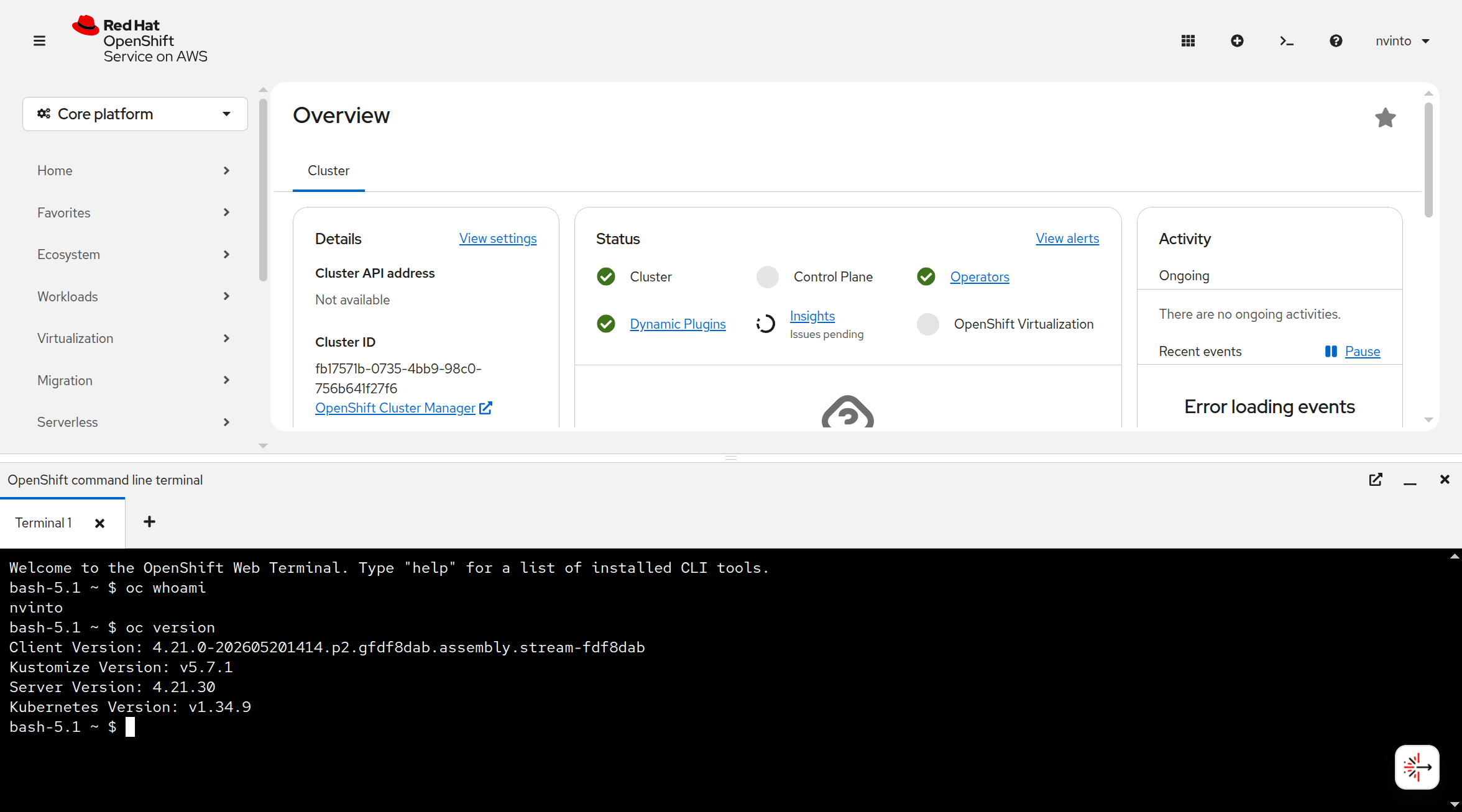 Use Web Terminal