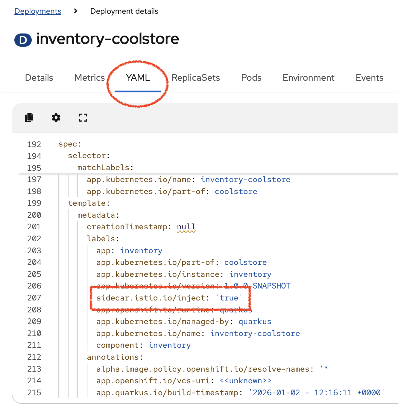 OpenShift - Enable Istio Inventory
