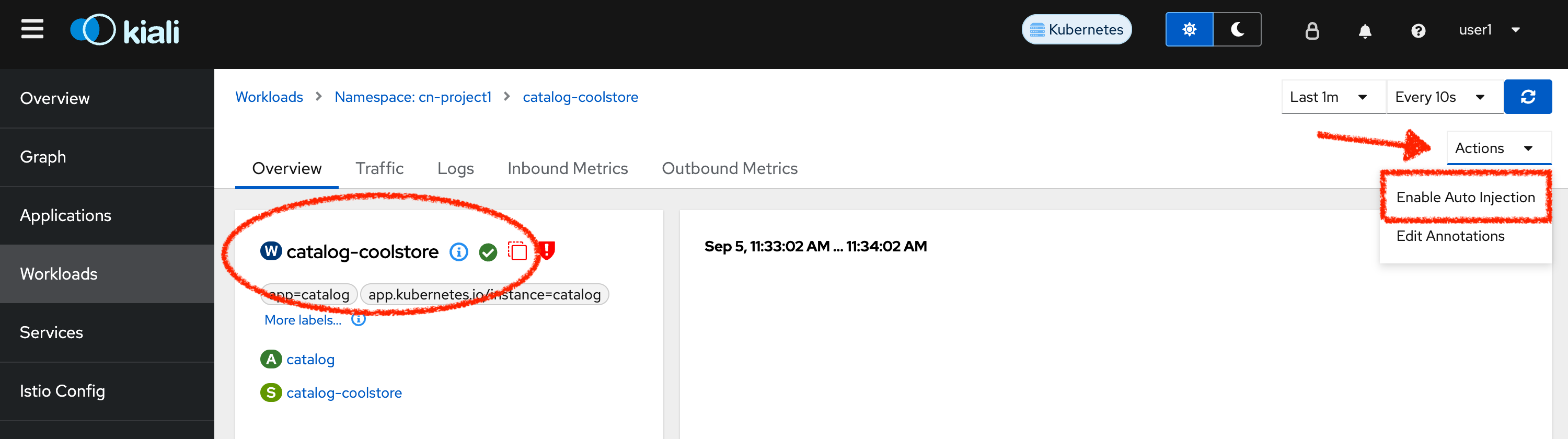 Kiali- enable auto ijection