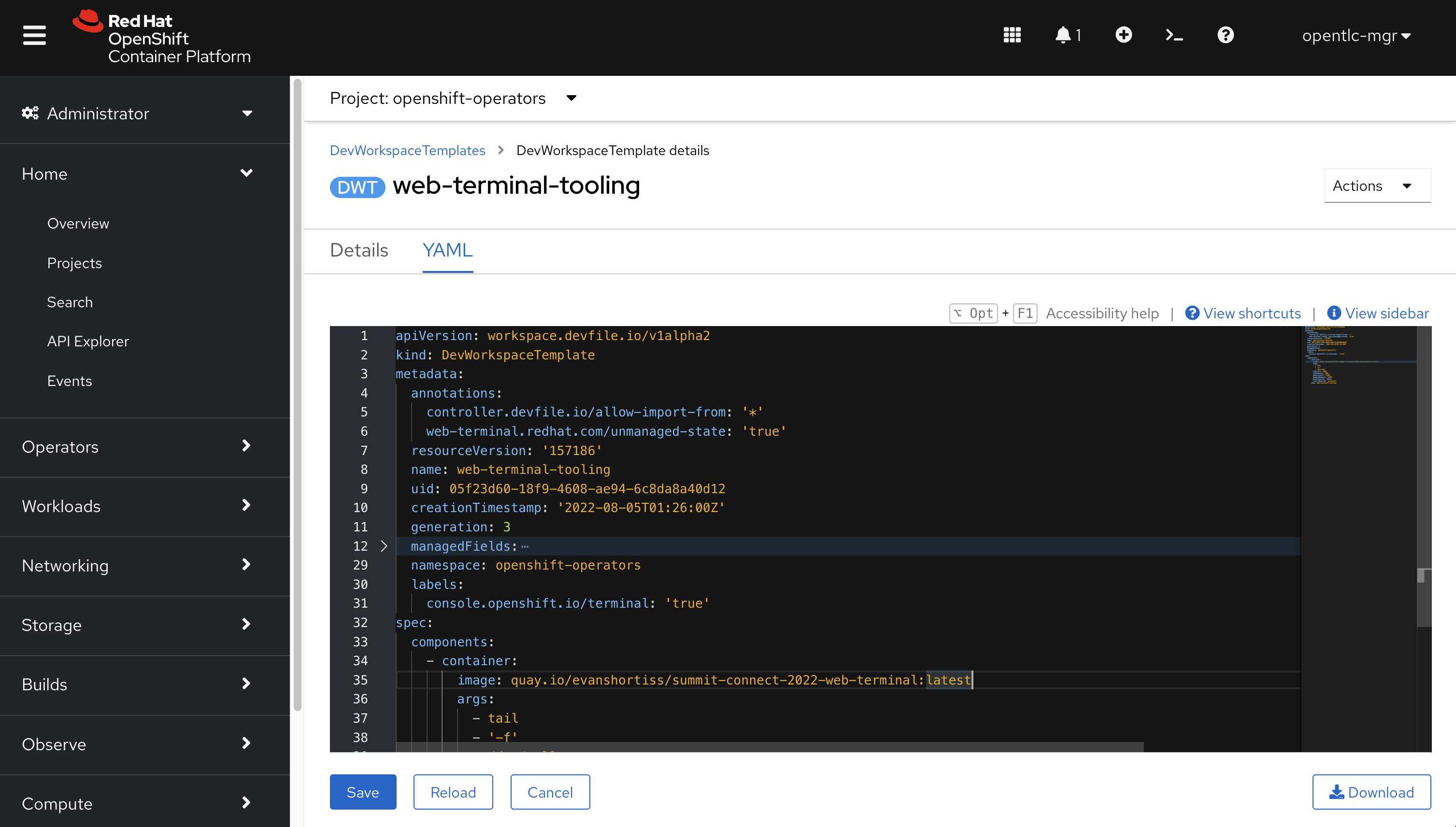 DevWorkspaceTemplate YAML in the OpenShift Web Console