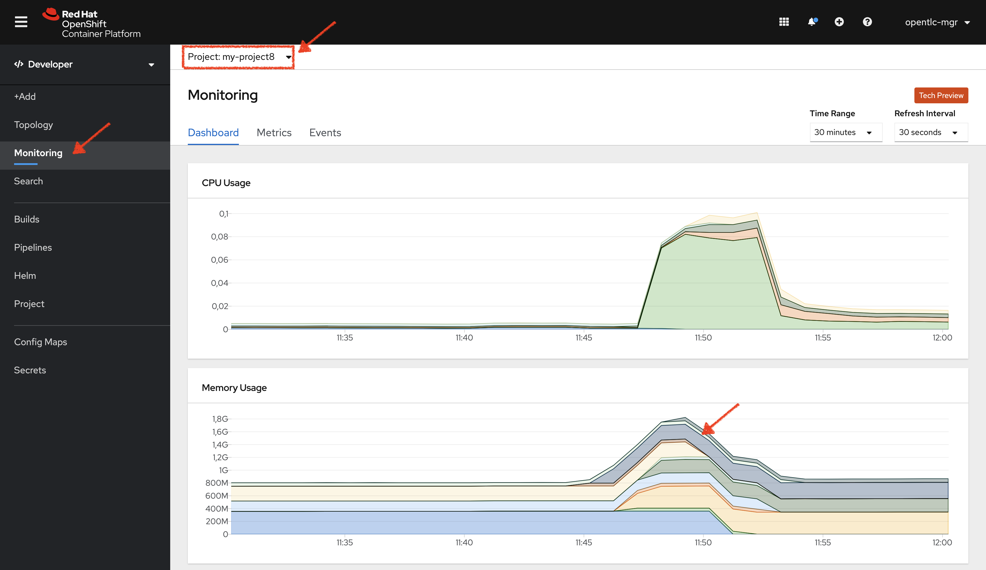 OpenShift Monitoring