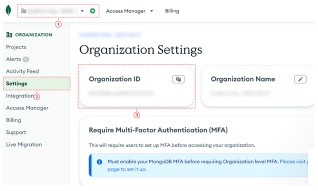 Single screenshot for finding your Organization ID value