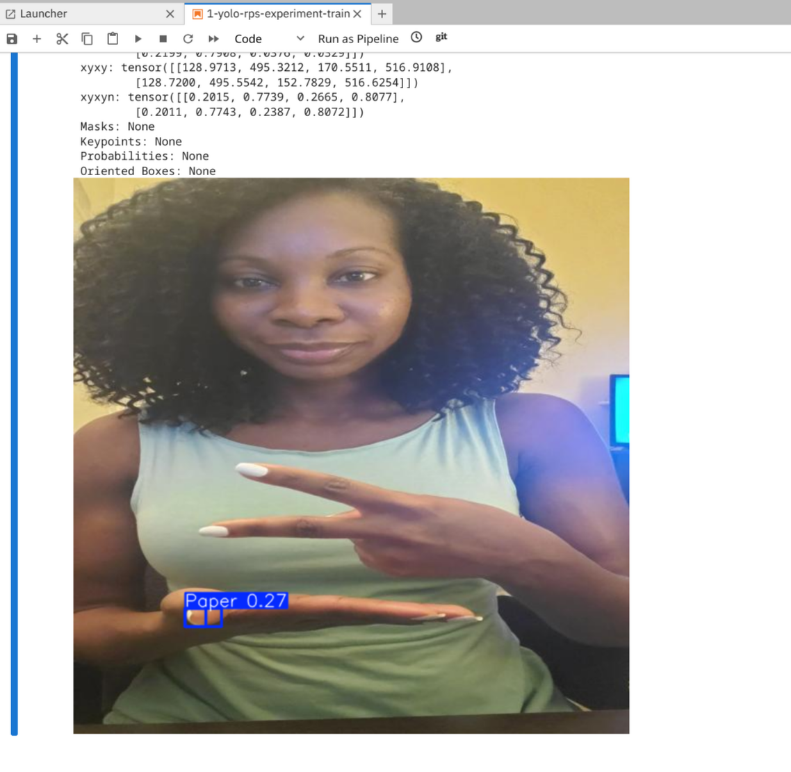 Jupyter Notebook Run