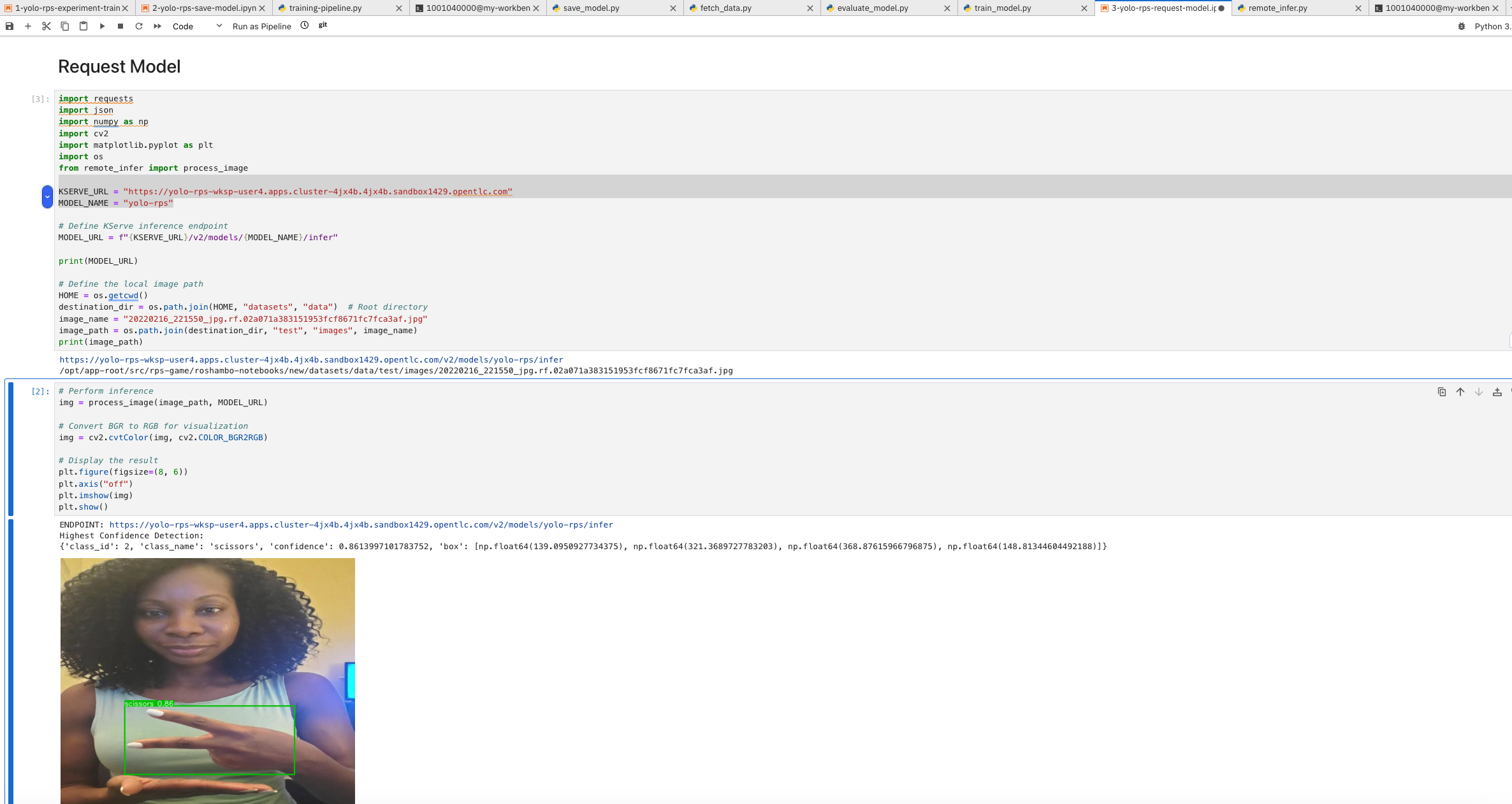 Jupyter Notebook Validation